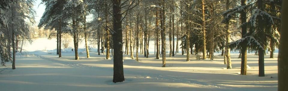 Отель Lapland Northern Lights hotel Ilveslinna Ranua Рануа