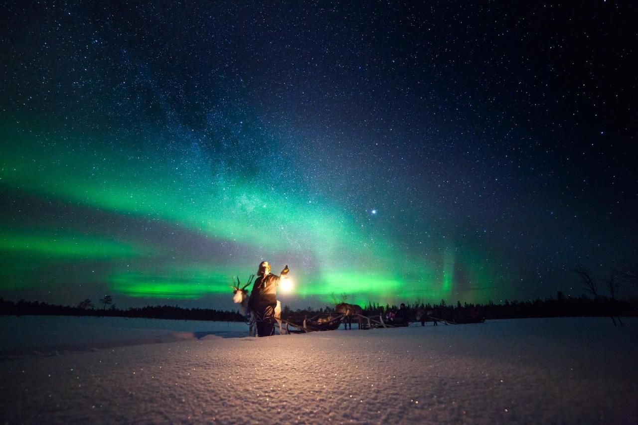 Отель Lapland Northern Lights hotel Ilveslinna Ranua Рануа