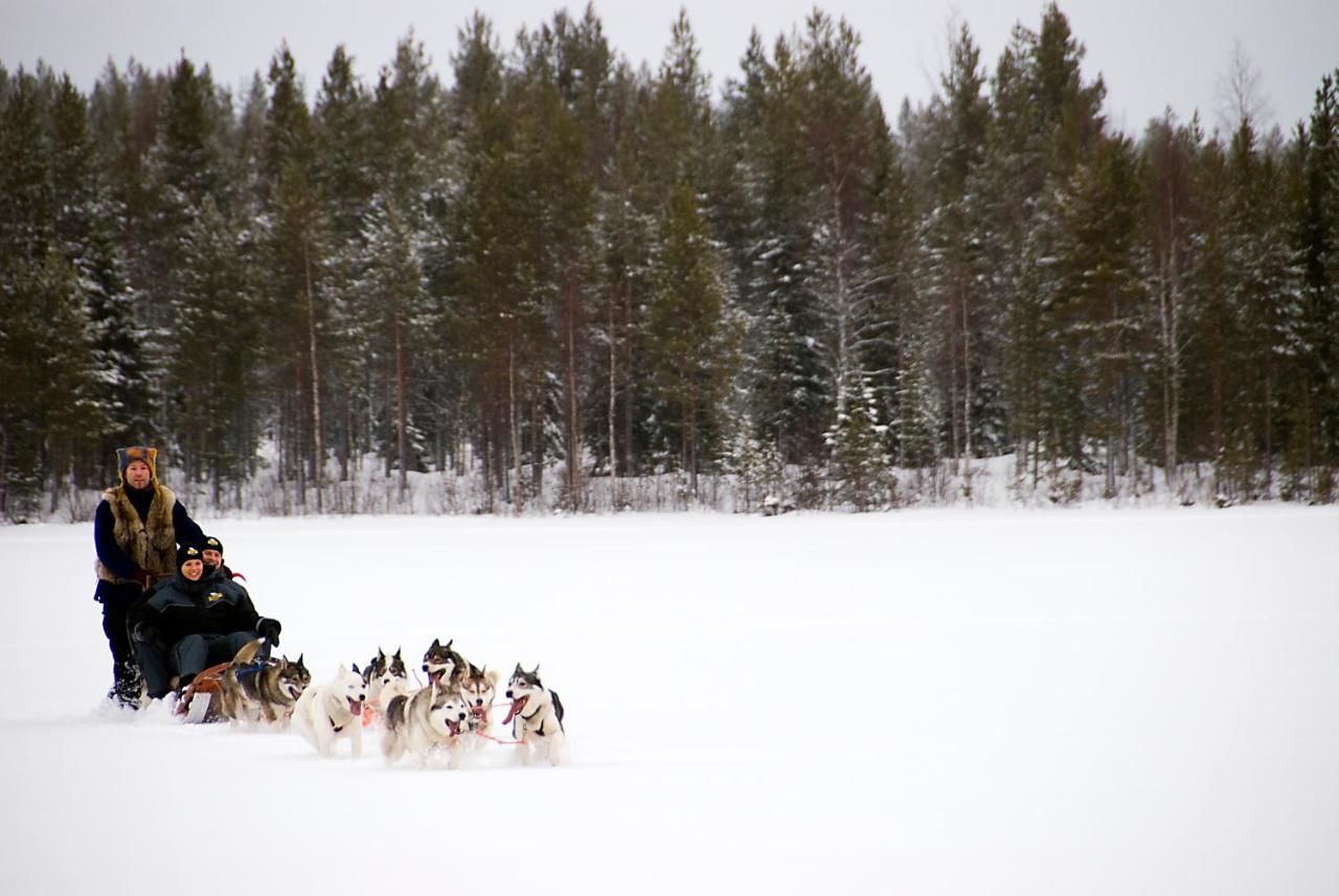 Отель Lapland Northern Lights hotel Ilveslinna Ranua Рануа-42